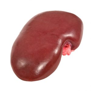 Frozen Pork Kidneys