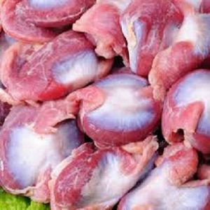 Frozen Chicken Gizzards